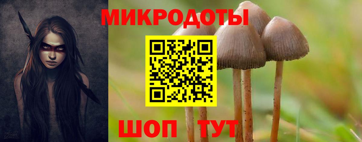 Бахчисарай  Галлюциногенные грибы прущие грибы  Псилоцибиновые грибы прущие грибы  Вход с VPN 